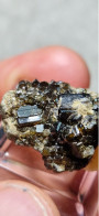 Vesuvianite   Cristalli Perfetti Lucenti Collezione 5,92  Gr 2 Cm Bellecombe AO Italia Vesuviana - Mineralen