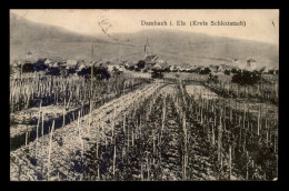 67 - DAMBACH - LES VIGNES - Dambach-la-ville