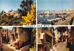 6 CAGNES SUR MER - Cagnes-sur-Mer