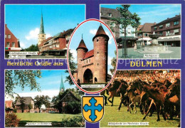 72861931 Duelmen St Viktor Marktplatz Spieker In Buldern Wildpferde Im Merkfelde - Dülmen