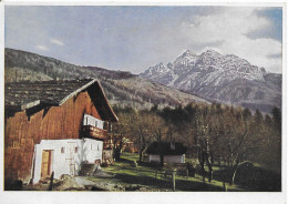 LA VALLEE DE STUBAITAL TYROL AUTRICHE, UN CHALET, CARTE ANCIENNE PHOTO LEONHARDT INNSBRUCK, VOIR LE SCANNER - Matrei Am Brenner