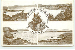 Ecosse - Best Of Luck From Oban - Scottish Terrier - Dunolie Castle And Mull Moutains .... - Argyllshire