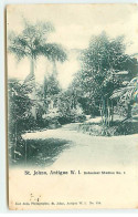 Antilles - ANTIGUA - Saint-Johns - W.I. Botanical Station N°1 - Antigua Y Barbuda