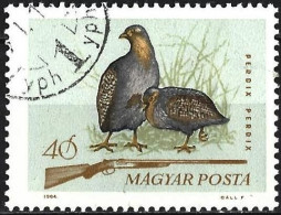 Hungary 1964 - Mi 2081 - YT 1692 ( Hunting - Bird : Pheasant ) - Galline & Gallinaceo