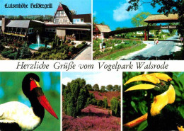 72852949 Walsrode Lueneburger Heide Luisenhoehe Heidjergrill Vogelpark Walsrode - Walsrode