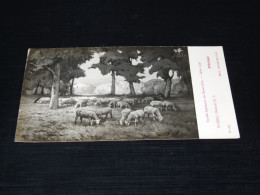 70273-       PATURAGE, ANIMALS / SCHAPEN / SHEEP / SCHAF / MOUTONS - Other & Unclassified