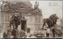 BELGIUM BRUXELLES BRUSSEL MONUMENT UNKNOWN SOLDIERS CARTE POSTALE ANSICHTSKARTE POSTKARTE POSTCARD CARTOLINA - Brussel Bij Nacht