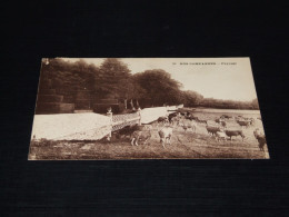 70276-  OLD CARD - 1926, NOS CAMPAGNES, PAYSAGE / KOEIEN / COWS / KÜHE / VACHES - Vaches