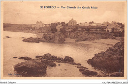 AAUP1-29-0019 - LE POULDU - Vue Generale Des Grands Sables - Le Pouldu