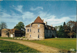 MEZIERES SUR ISSOIRE - Le Château De La Côte - Meziere Sur Issoire
