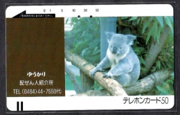 Japan 1V Koala Used Card - Jungle