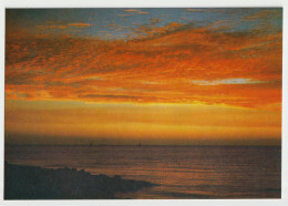 Australia VICTORIA VIC Golden Sunset Rose Series No.683 Postcard C1970s - Other & Unclassified