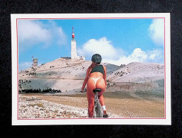 Cp,  Pin-up, Vierge, 64, Vaucluse, Le Mont Ventoux, Sommet Du Géant De Provence, Sports, Cyclisme, Un Sacré Point De Vue - Pin-Ups