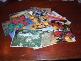 *70310-   10 CARDS -  BLOEMEN / FLOWERS / BLUMEN / FLEURS / FIORI / FLORES - Flowers