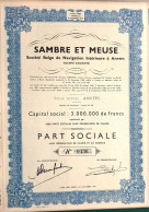 Sambre Et Meuse (société Belge De Navigation Intérieure à Anvers) - 1950 - Navy