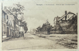 Beringen Koolmijnlaan - Beringen