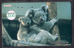 Japan 1V Koala Higashiyama Zoo Used Card - Oerwoud