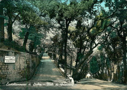 CASTELLAMMARE DI STABIA - VIALI DI QUISISANA - EDIZ. FARFALLA - 1950s (19570) - Castellammare Di Stabia