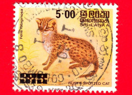 SRI LANKA - Usato - 1981 - Felini Selvatici - Gatti - Rusty-spotted Cat (Prionailurus Rubiginosus) - 5 - Sri Lanka (Ceylan) (1948-...)