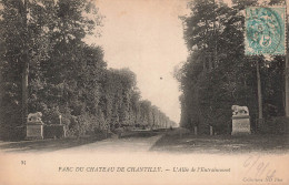 FRANCE - Parc Du Château De Chantilly - Vue Générale De L'allée De L'entrainement - Carte Postale Ancienne - Chantilly