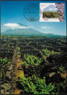 Portugal Açores 2003 Y&T 486 Sur Carte Maximum. Île De Pico, Zone Classifiée De Vigne Et Montagne - Vinos Y Alcoholes