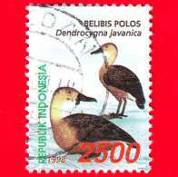 INDONESIA - Usato - 1998 - Fauna - Uccelli Acquatici - Anatra Fischiante Minore - BELIBIS POLOS  - 2500 - Indonésie