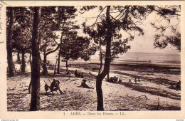 D33  ARÈS  Dans Les Dunes - Arès