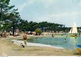 D33  CARCANS- MAUBUISSON  La Plage Au Bord Du Lac  ..... - Carcans