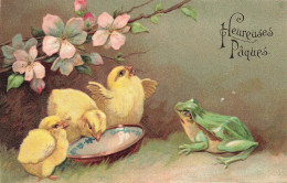 Grenouille & Poussins * CPA Illustrateur Gaufrée Embossed 1907 * Grenouille Frog Poussin * Heureuses Pâques - Autres & Non Classés