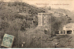 D44  AIGREFEUILLE   Le Moulin Des Epinettes - Aigrefeuille-sur-Maine