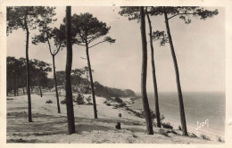 FRANCE - Le Mouleau D'Arcachon - Le Parc Des Abatilles Et Vue Sur Les Passes Du Bassin - Carte Postale Ancienne - Arcachon