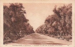 MAROC - Marrakech - Aguedal - Grande Allée De La Forêt D'Oliviers - Carte Postale Ancienne - Marrakesh