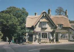 Postcard Pencil Cottage The Old Village Shanklin Isle Of Wight [ Nigh ] My Ref B26313 - Shanklin