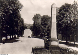 D64  MAULÉON SOULE  Les Allées Monument Aux Morts Et Le Fronton - Mauleon Licharre