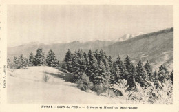 FRANCE - Hôtel Coin De Feu - Orionde Et Massif Du Mont Blanc - Carte Postale - Chamonix-Mont-Blanc