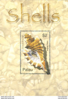 Conchiglie 2003. - Palau