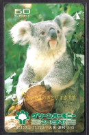 Japan 1V Koala Advertising Used Card - Jungle