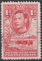 1938 Bechuanaland ° Mi:GB-BE 102, Sn:GB-BE 125, Yt:GB-BE 66, George VI, Cattle (Bos Primigenius Taurus) - 1885-1964 Bechuanaland Protectorate