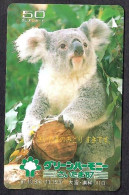 Japan 1V Koala Advertising New Mint Card - Giungla