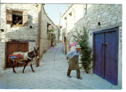 CP CHYPRE CYPRUS - Omodos Village Limassol Avec Son Ane Ass Dans Une Ruelle  - Cyprus