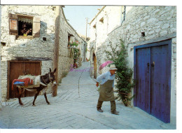 CP CHYPRE CYPRUS - Omodos Village Limassol Avec Son Ane Ass Dans Une Ruelle  - Chipre