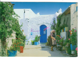 CP CHYPRE CYPRUS - Une Femme Dans Son Patio Avec Ses Fleur Maison Typique Blanche Et Bleue - Chypre