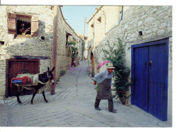 CP CHYPRE CYPRUS - Omodos Village Limassol Un Homme Avec Son Ane Dans La Rue Ass - Cyprus