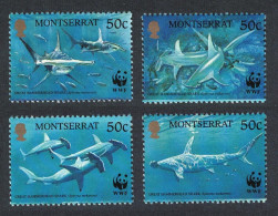 Montserrat WWF Great Hammerhead Shark 4v 1999 MNH SG#1148-1151 MI#1109-1112 Sc#998 A-d - Montserrat