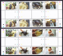 Tonga Turtles 8v Gutter Strips 2013 MNH SG#1665-1672 Sc#1197-1198 - Tonga (1970-...)