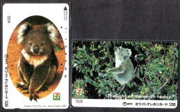 Japan 2V Koala 7-11 Advertising Used Card - Dschungel