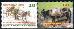 MACEDONIA 2019 - Domestic Animals - Donkey - MNH Set - Macedonia