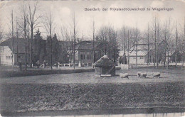 2603238Wageningen, Boerderij Der Rijkslandbouwschool Te Wageningen. (vouw Linksboven En Vouw Zie Kaart) - Wageningen