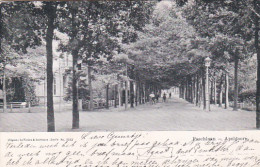 2603480Apeldoorn, Paschlaan. (poststempel 1909)(zie Hoeken) - Apeldoorn