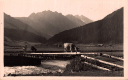 HOCHTAL GERLOS - ZILLERTAL - Gerlos